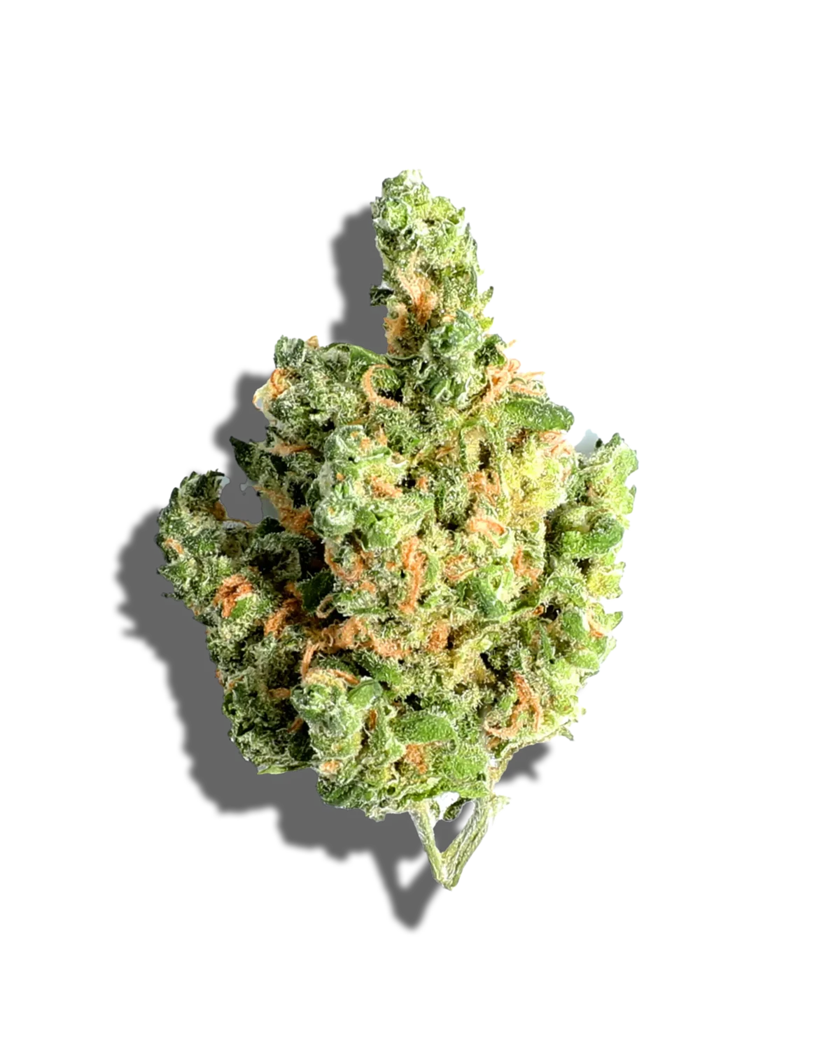 cannabis dispensary near me