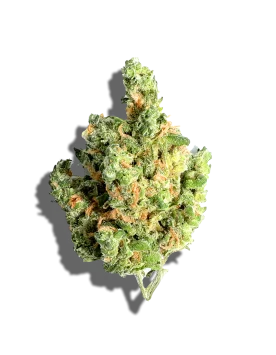 cannabis dispensary near me